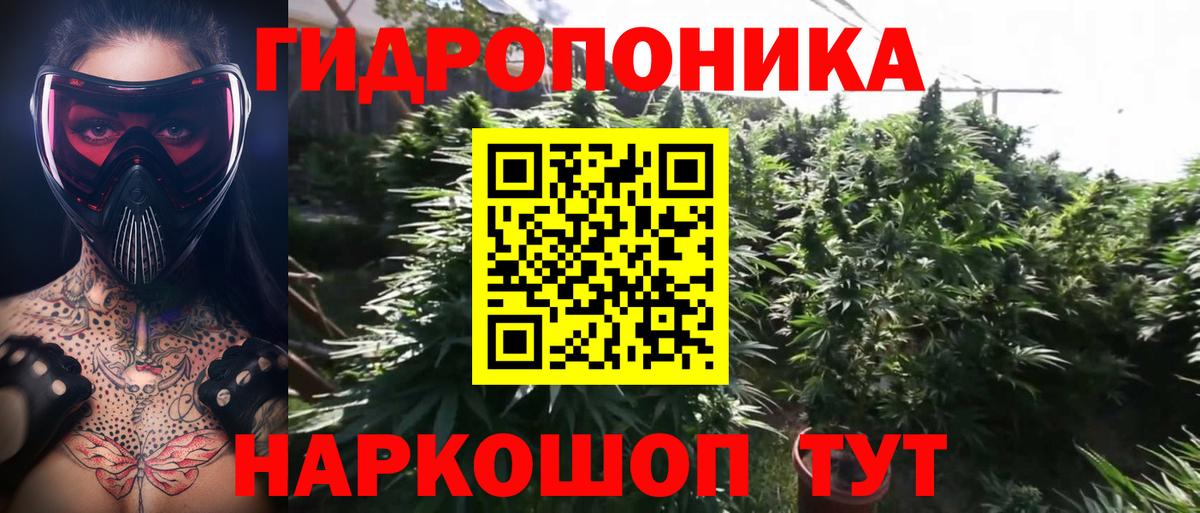 Конопля THC 21%  Каннабис Bruce Banner  Вход с VPN  Благодарный 
